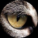 jacob juzek profile picture